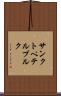 サンクトペテルブルク Scroll