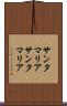サンタマリア Scroll