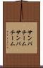 サンバチーム Scroll
