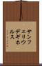サンフェリウデギホルス Scroll