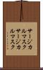 サージカルマスク Scroll