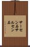 サーセン石 Scroll