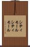 シティモール Scroll