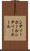 シティーホール Scroll