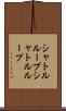 シャトルループ Scroll