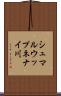 シュマルウップネナイ川 Scroll