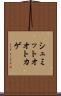 シュミットオオトカゲ Scroll