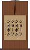 ショーソンオポム Scroll