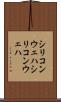 シリコンウェハ Scroll