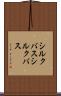 シルクバス Scroll