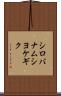 シロバナムシヨケギク Scroll
