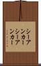 シーアンカー Scroll