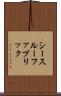 シースルーファブリック Scroll