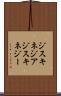 ジスキネジア Scroll