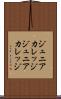ジュニアカレッジ Scroll