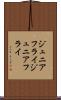 ジュニアフライ Scroll