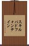 スキルパドフォンテイン Scroll