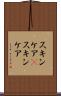 スキンケア(P) Scroll