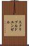 スクリブルドエンゼル Scroll