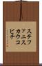 ステファニスカウコビチ Scroll