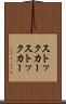 ストックカー Scroll