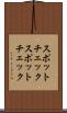 スポットチェック Scroll