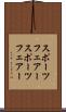 スポーツフェアー Scroll