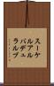 スーケルアルバデュラルブ Scroll