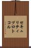 セキュリティプロトコル Scroll