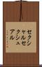 セクシャル Scroll