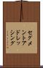 セグメント・アドレッシング Scroll
