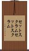 セットスクラム Scroll