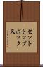 セットトップボックス Scroll