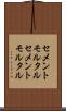 セメントモルタル Scroll