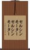 セルシンモーター Scroll