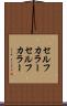 セルフカラー Scroll