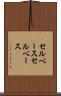 セルベース Scroll