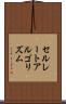 セルレートアルゴリズム Scroll