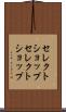 セレクトショップ Scroll