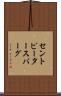 セントピータースバーグ Scroll