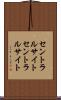 セントラルサイト Scroll