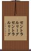 セントラルリーグ Scroll