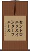 セントロニクス・インターフェース Scroll