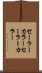 セーラーカラー Scroll