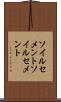 ソイルセメント Scroll
