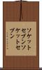 ソケットセブン Scroll