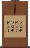 ソロデビュー Scroll