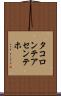 タコロンテアセンテホ Scroll