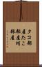 タコ部屋 Scroll