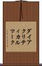 ダイアクリティカルマーク Scroll